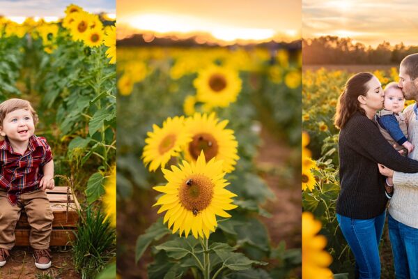 family portraits Birmingham Alabama, Indian Springs Village baby photographer, portrait photography Mountain Brook AL, family photographer near me