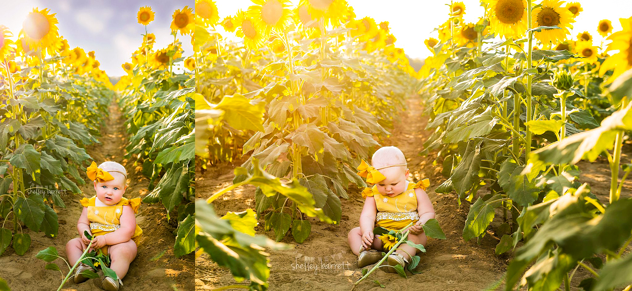family portraits Birmingham Alabama, Indian Springs Village baby photographer, portrait photography Mountain Brook AL, family photographer near me