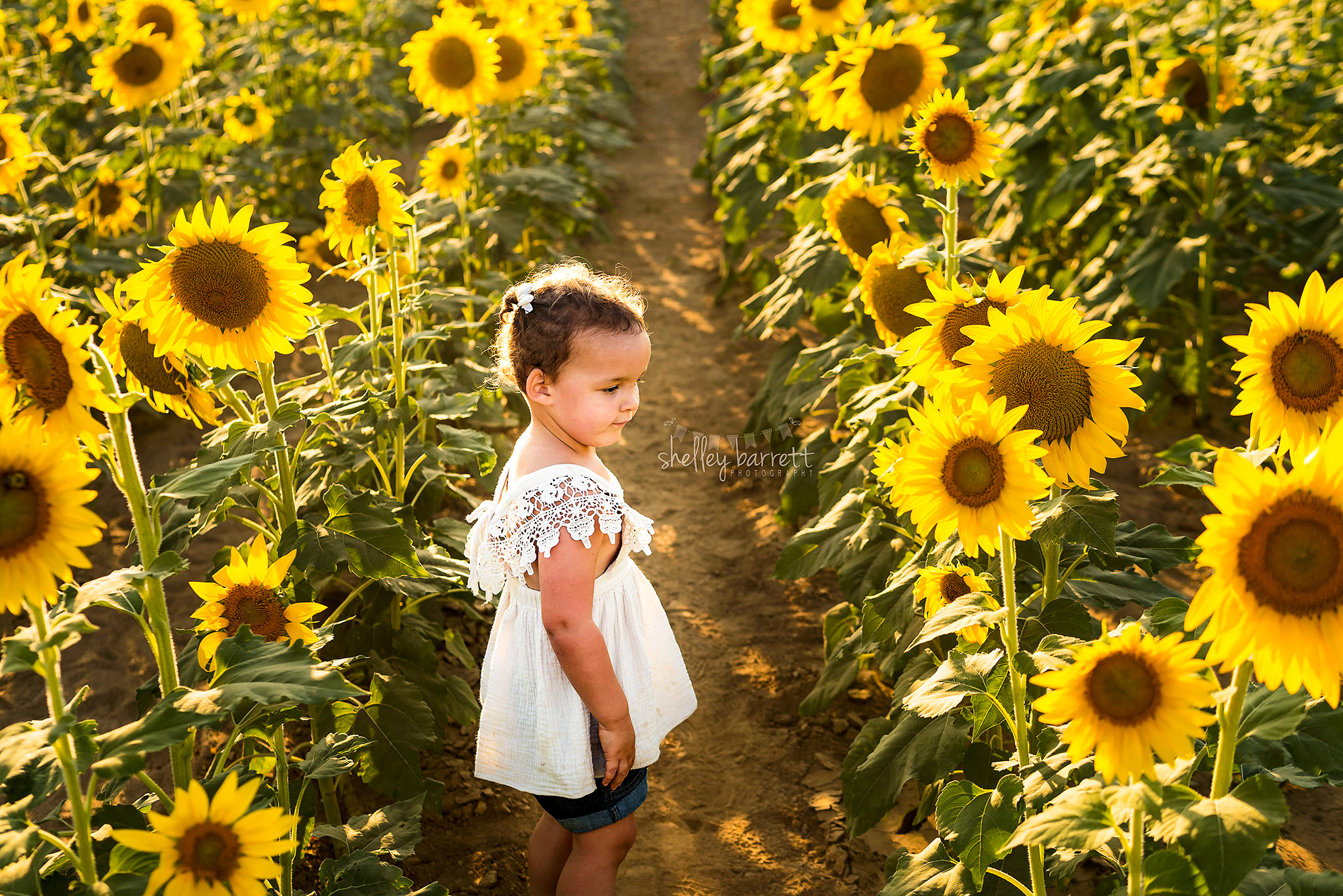 family portraits Birmingham Alabama, Indian Springs Village baby photographer, portrait photography Mountain Brook AL, family photographer near me