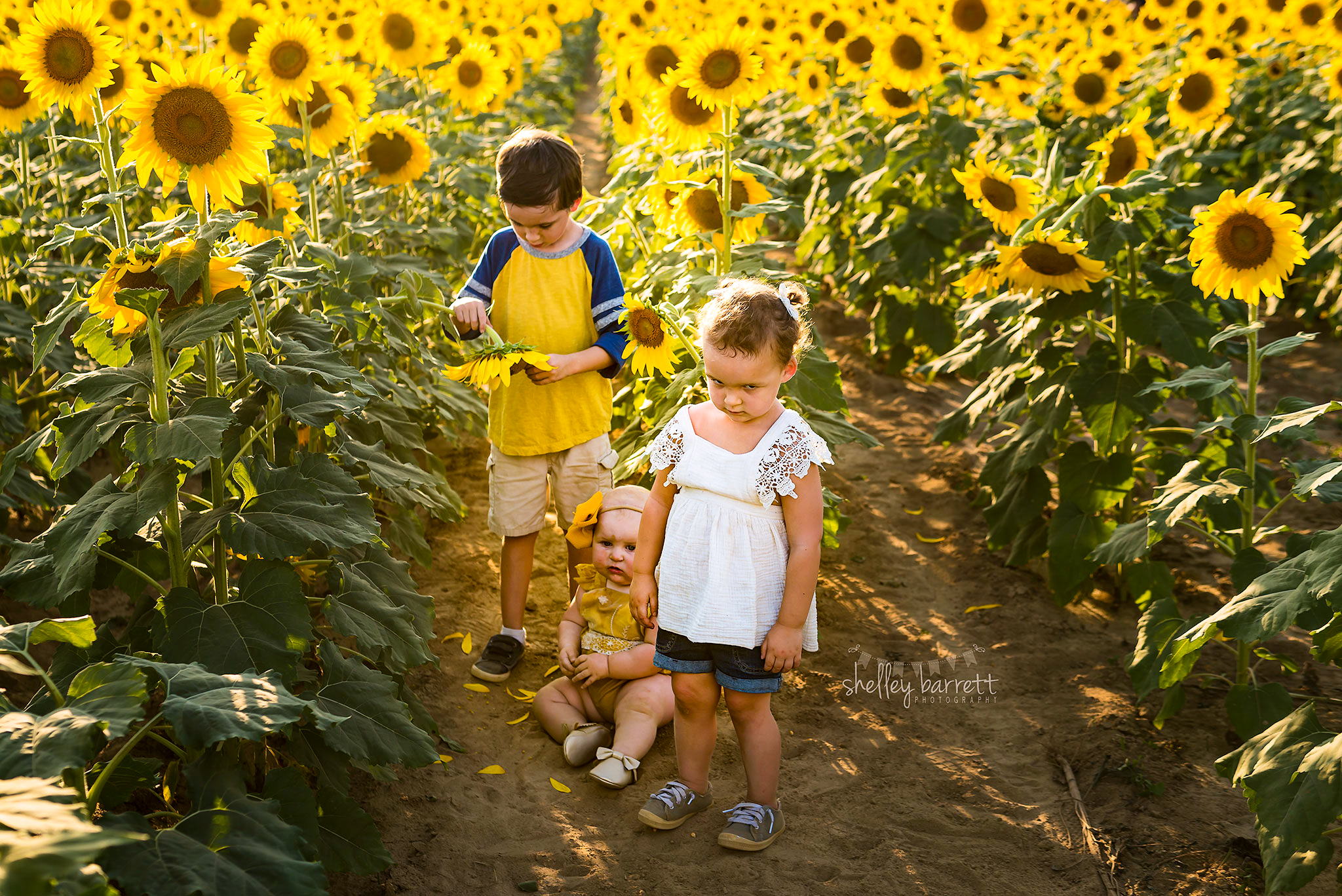 family portraits Birmingham Alabama, Indian Springs Village baby photographer, portrait photography Mountain Brook AL, family photographer near me