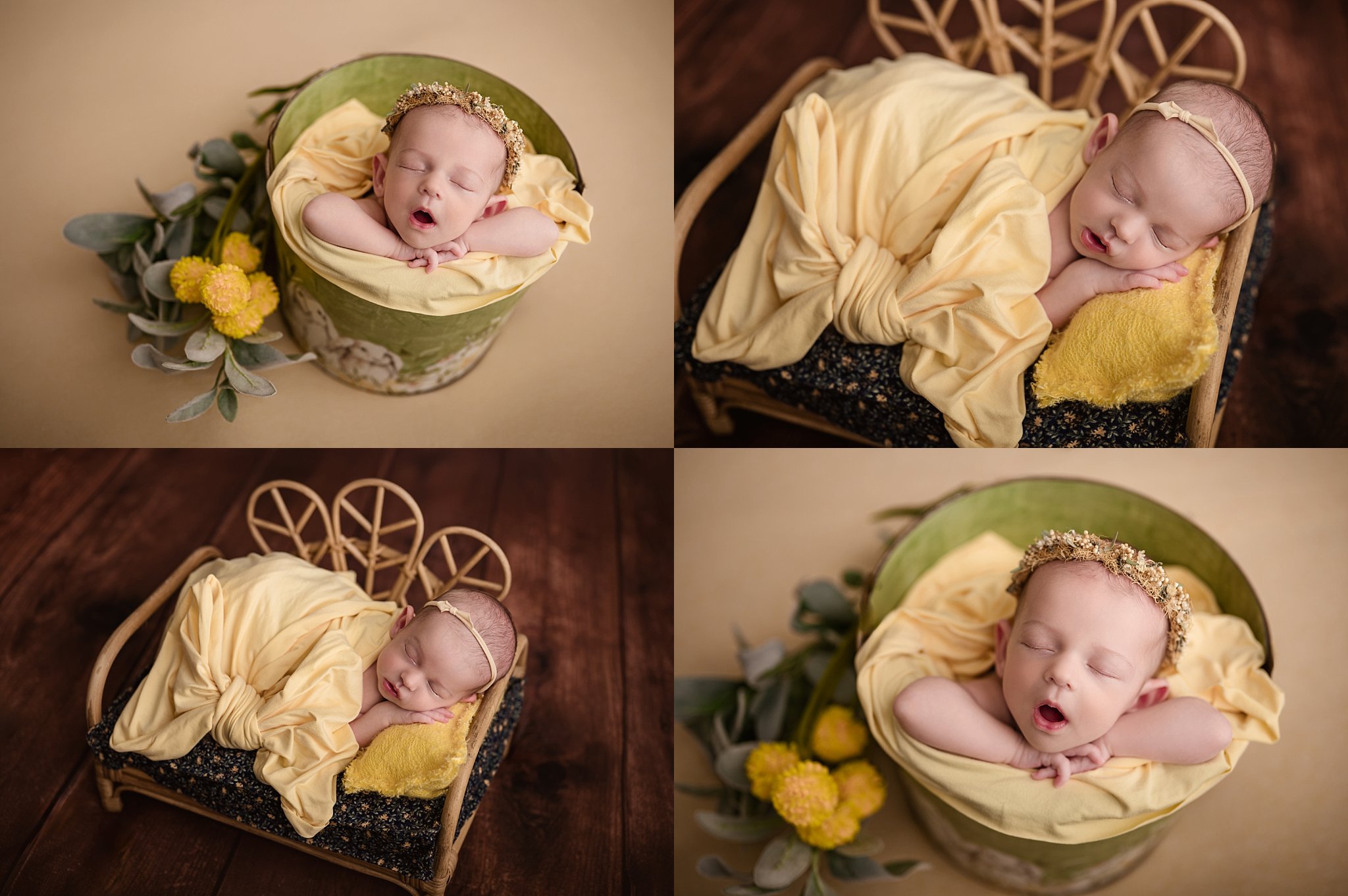 birmingham, trussville, springville, hoover, gadsden, inverness, alabama, newborn baby girl portrait photographer, shelley barrett photography