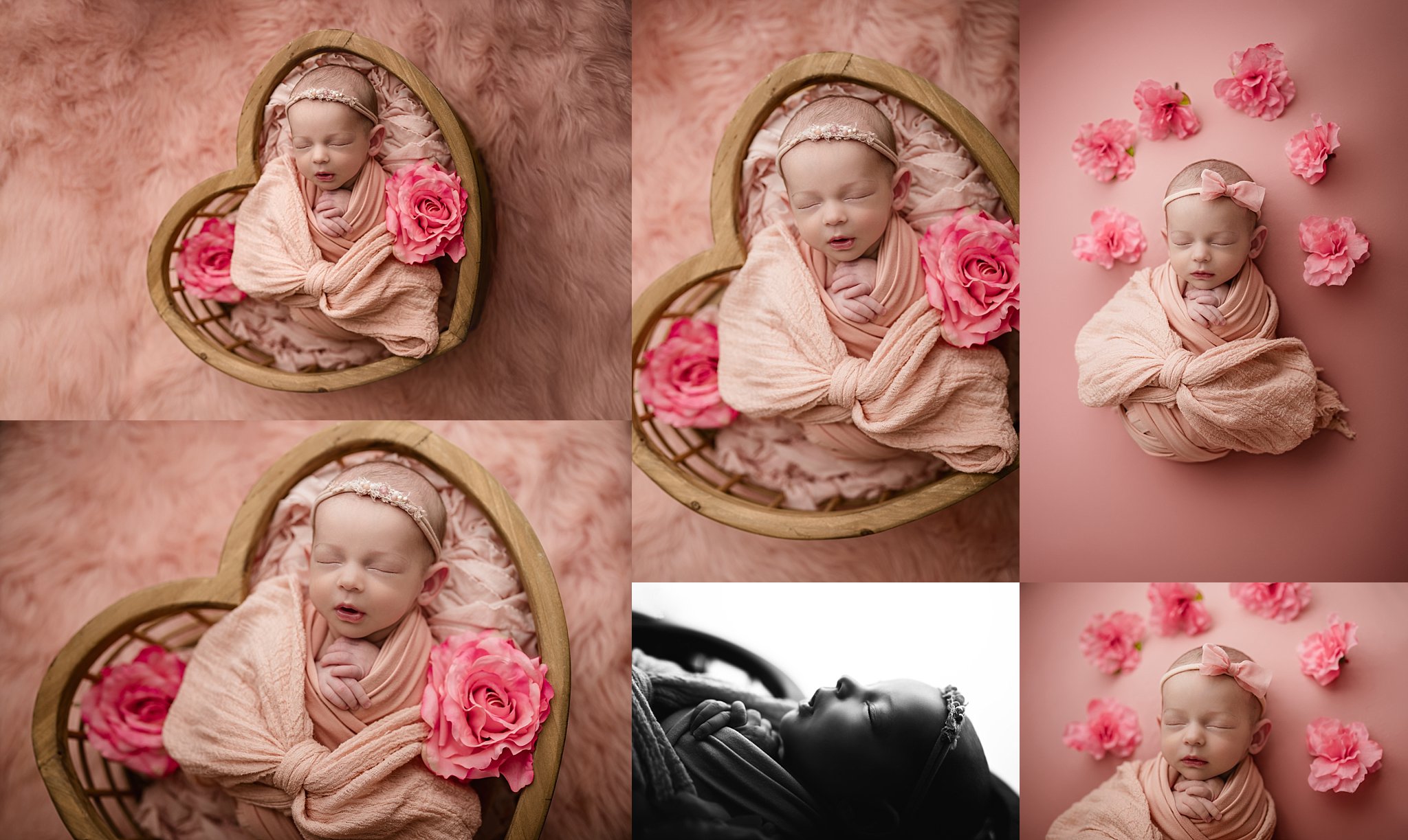 birmingham, trussville, springville, hoover, gadsden, inverness, alabama, newborn baby girl portrait photographer, shelley barrett photography