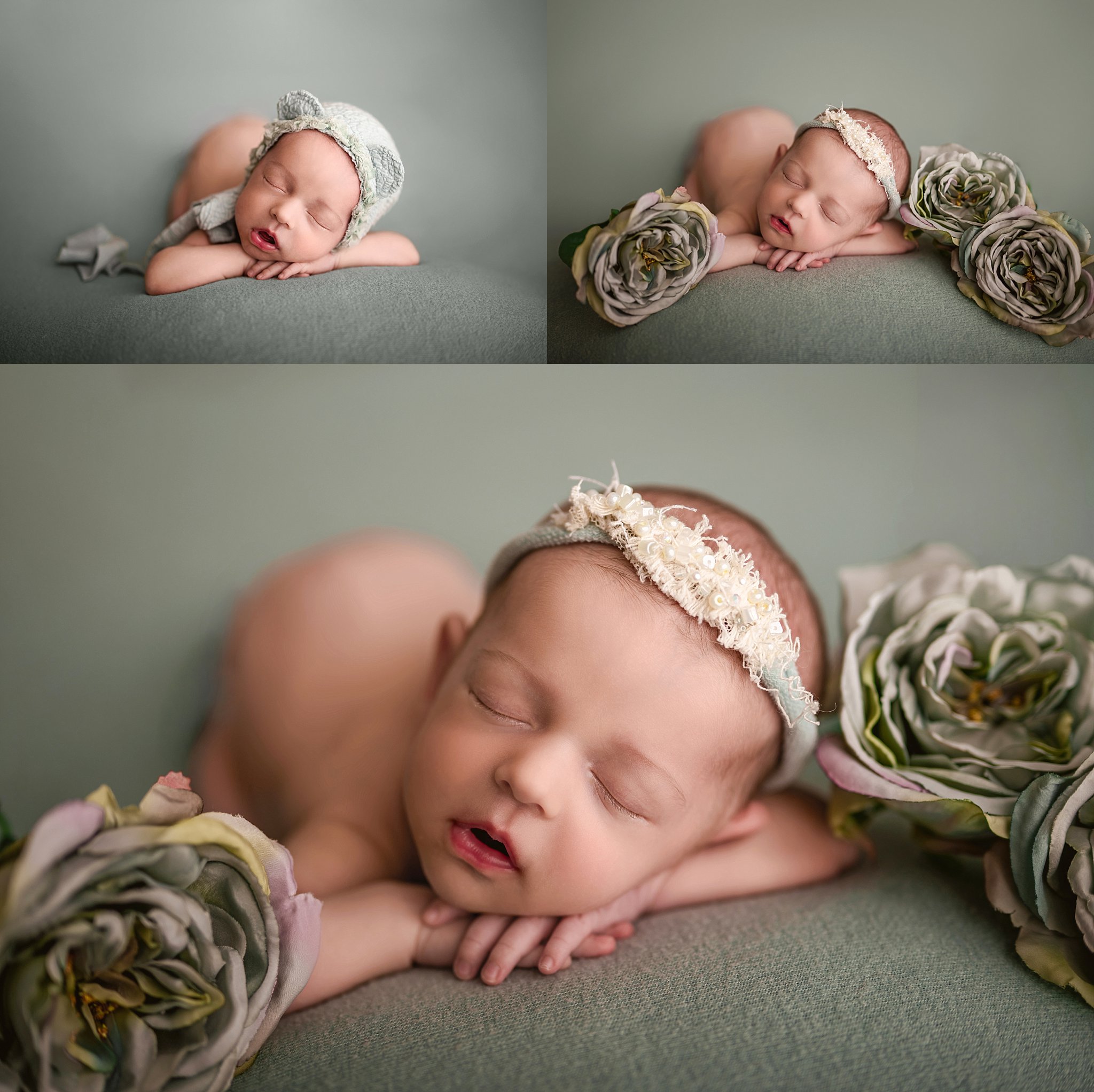 birmingham, trussville, springville, hoover, gadsden, inverness, alabama, newborn baby girl portrait photographer, shelley barrett photography