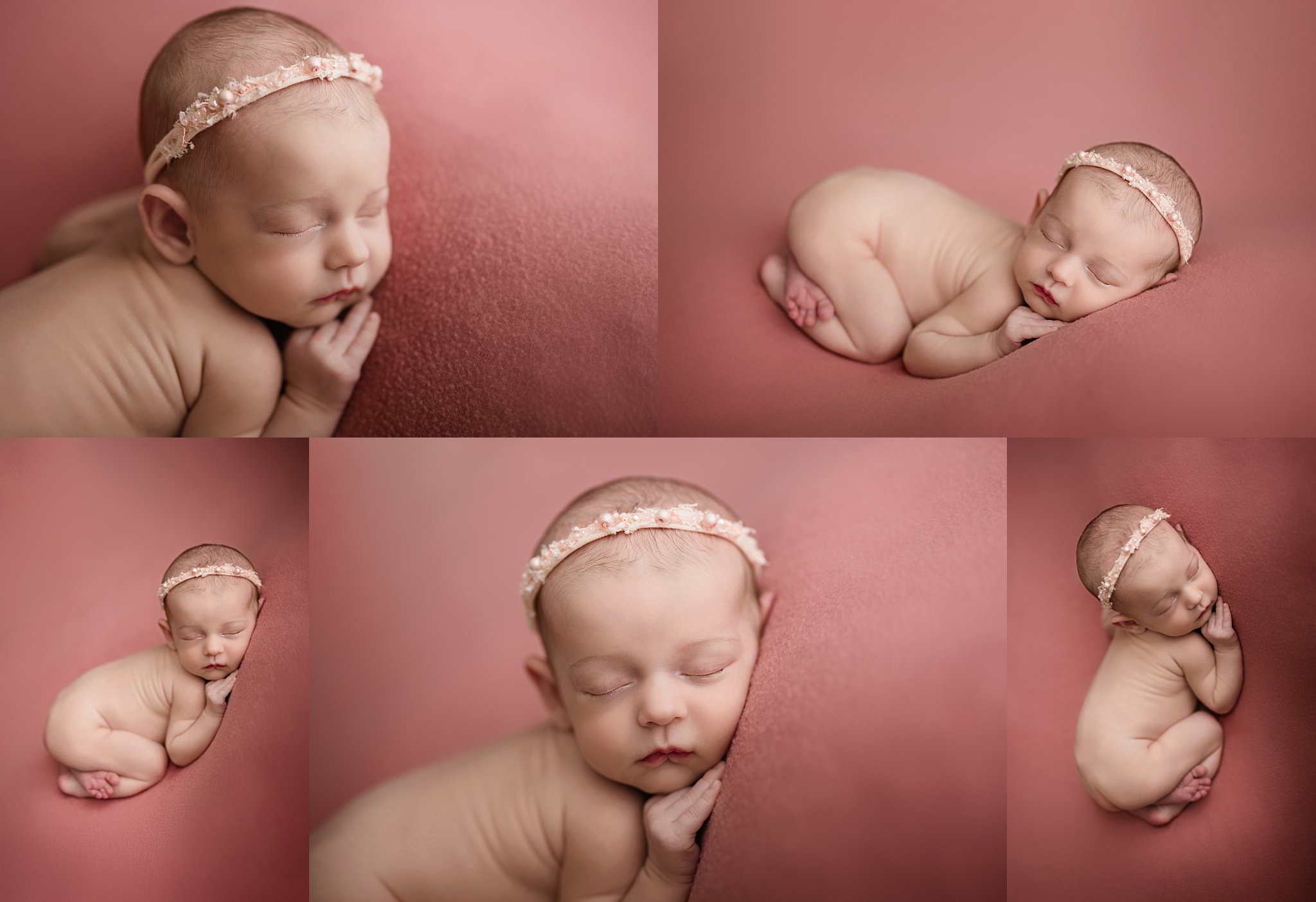 birmingham, trussville, springville, hoover, gadsden, inverness, alabama, newborn baby girl portrait photographer, shelley barrett photography