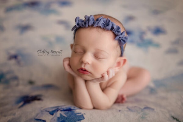 birmingham, trussville, springville, hoover, gadsden, inverness, alabama, newborn baby girl portrait photographer, shelley barrett photography