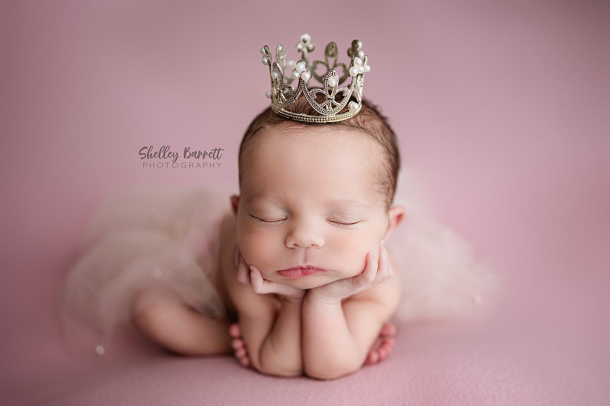 Professional newborn photographer posing newborn safely in Springville Alabama