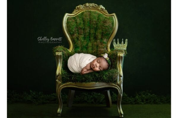 Creative newborn photography with princess-inspired styling near Trussville, Alabama