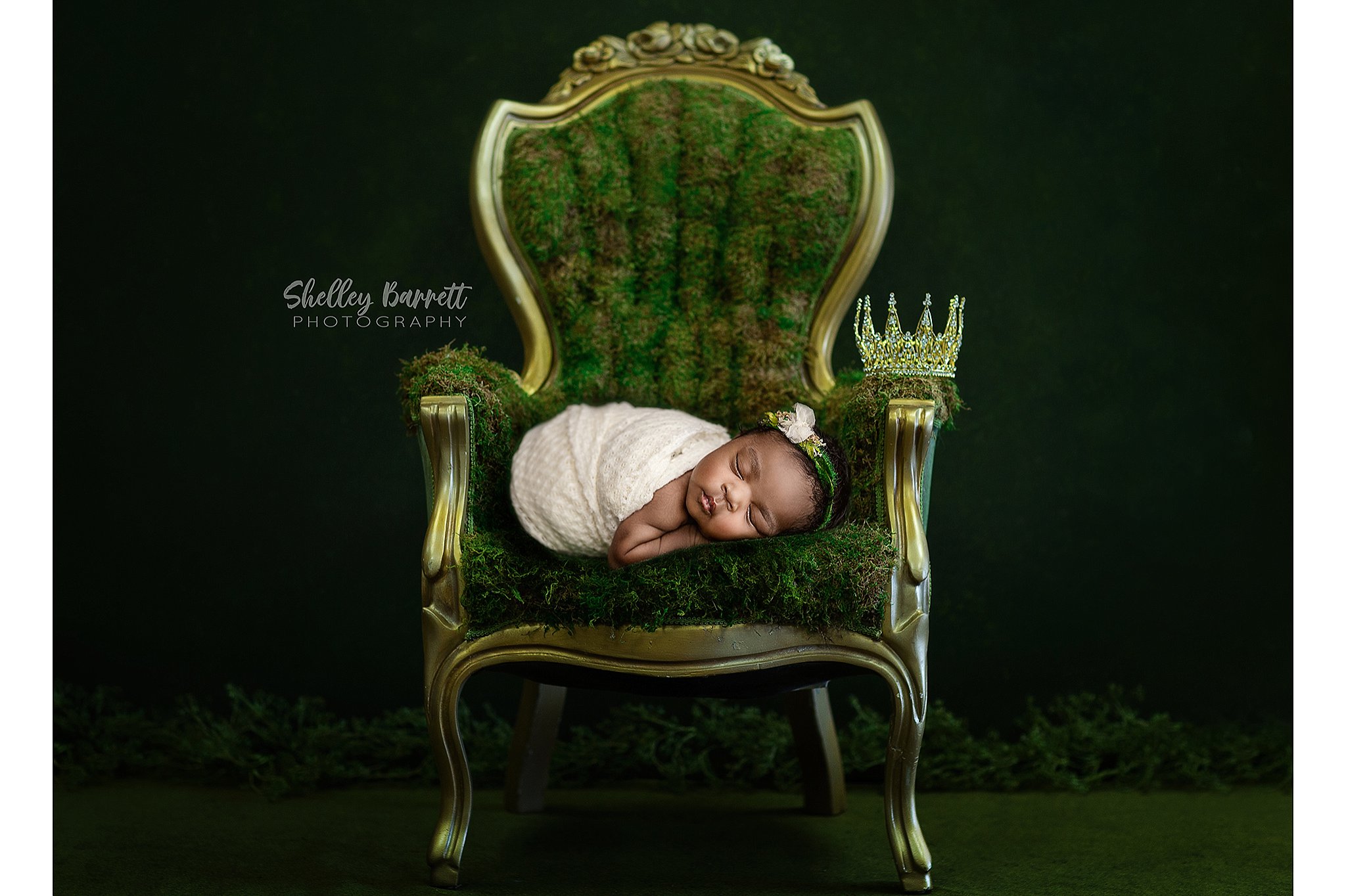Creative newborn photography with princess-inspired styling near Trussville, Alabama